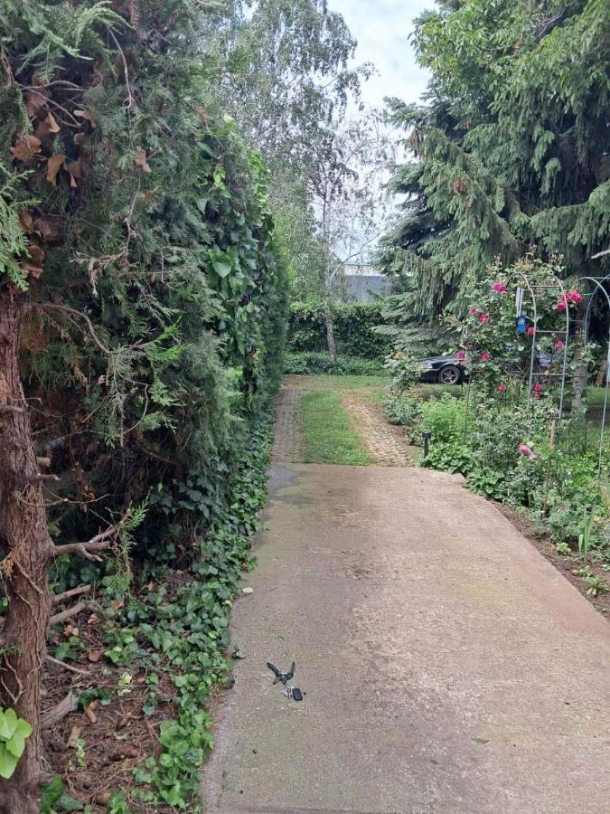 2 Rooms Retro Guesthouse In A Silent Garden Vecses Bagian luar foto