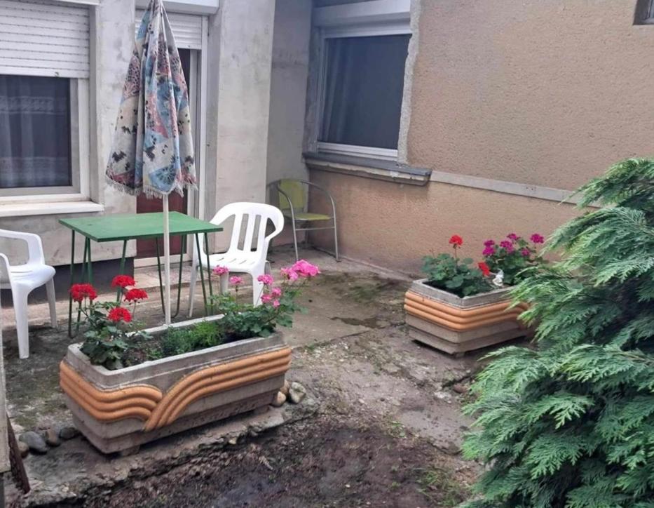 2 Rooms Retro Guesthouse In A Silent Garden Vecses Bagian luar foto