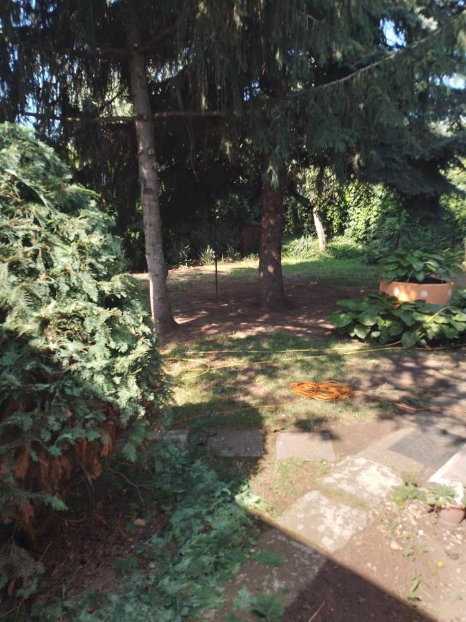 2 Rooms Retro Guesthouse In A Silent Garden Vecses Bagian luar foto